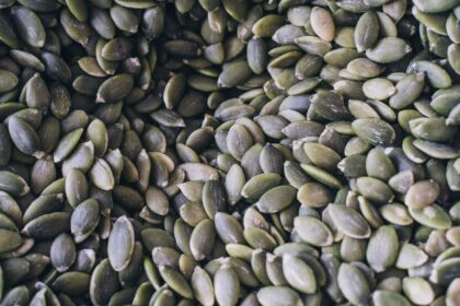 aliments riches en zinc